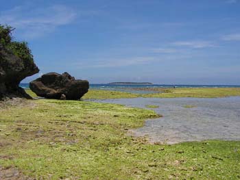 PICT0014